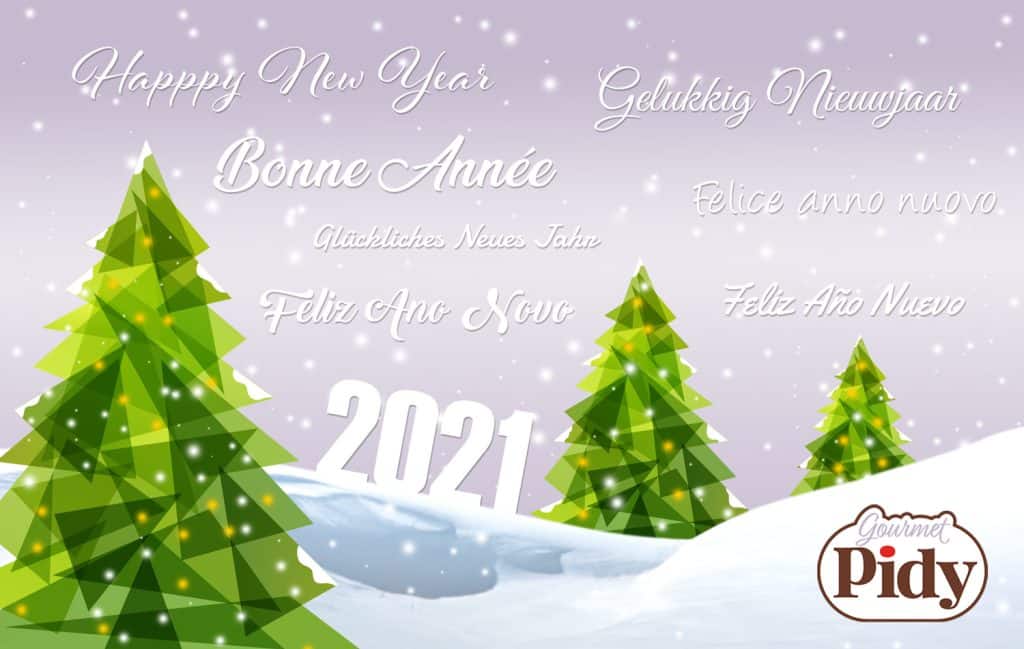 Merry Christmas &amp; A Happy New Year 2021!