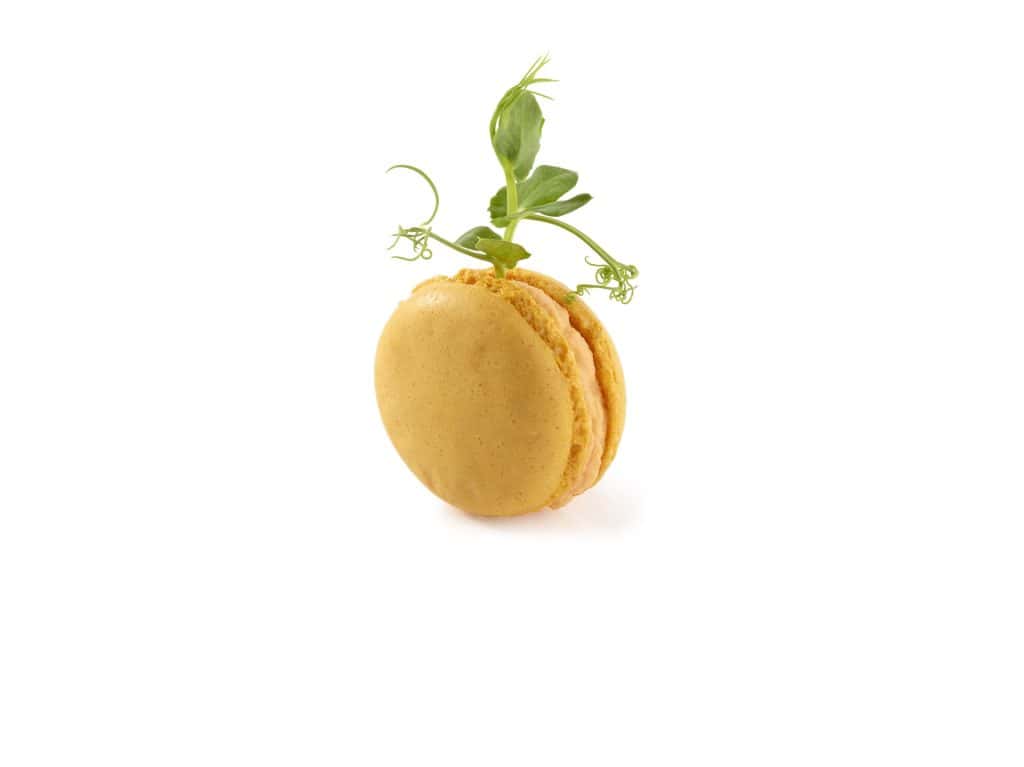 192 Assorted Savoury Macarons