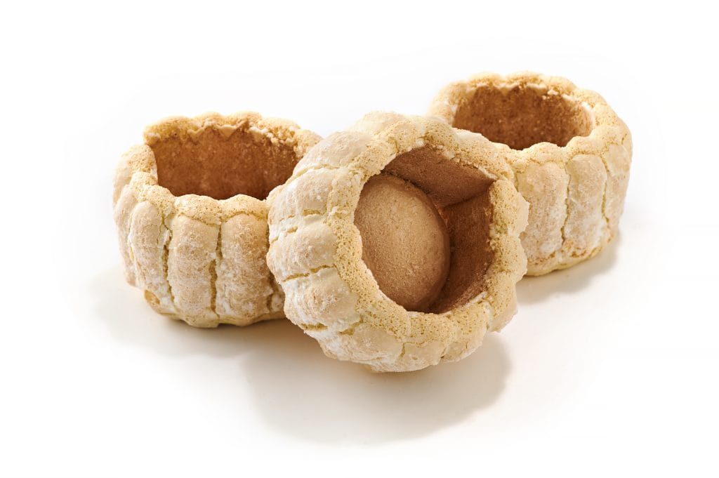 30 Sponge Biscuits Individual Kits Charlotte