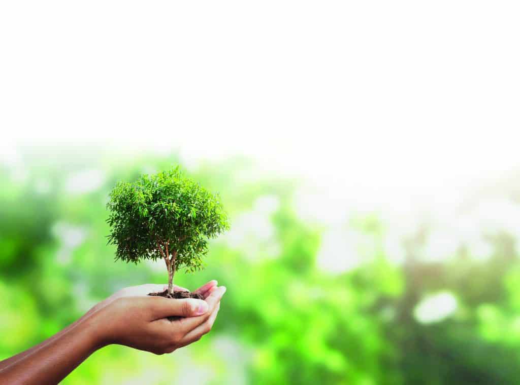 Our CSR Policy