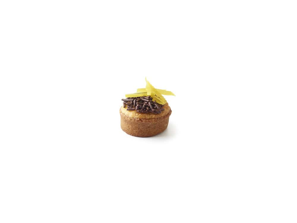 1.5″ Vegan round trendy shell graham