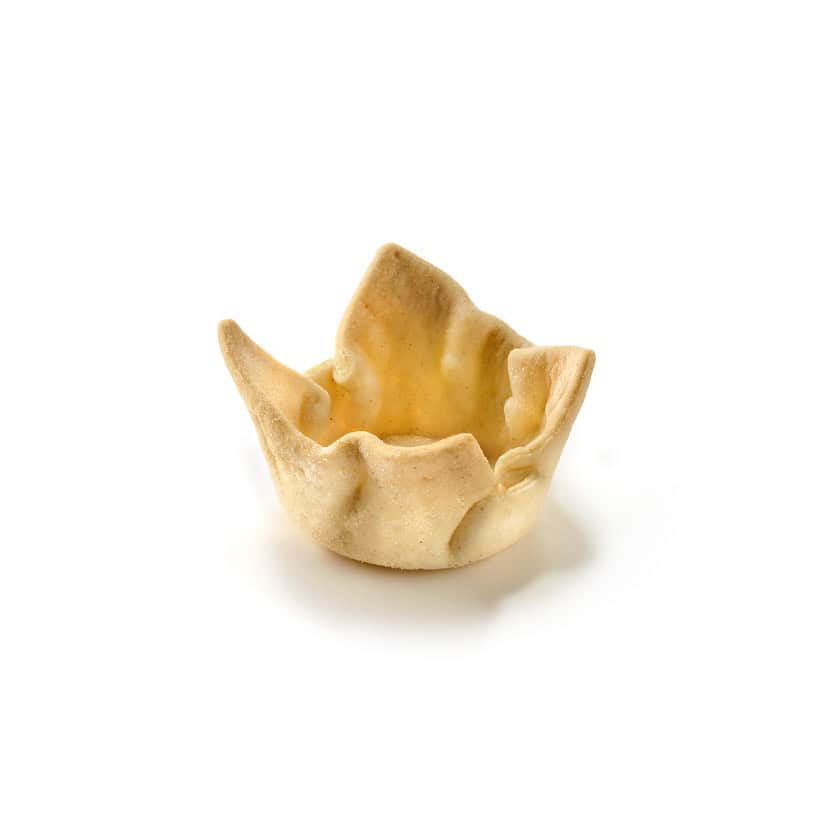 1.25″ Iris flower shaped shell